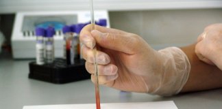 laboratories-30.jpg