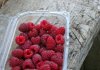e-opakowania - miski plastikowe (4) - Werka.jpg