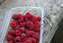 e-opakowania - miski plastikowe (4) - Werka.jpg