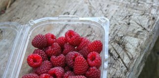 e-opakowania - miski plastikowe (4) - Werka.jpg