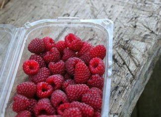 e-opakowania - miski plastikowe (4) - Werka.jpg
